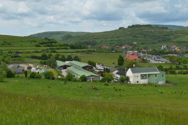 ”Educaţia pentru sănătate este încă departe să fie ideală, în Romania”